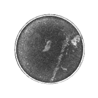 光學檢測設備 光學檢測設備