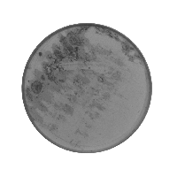 電池蓋光學影像篩選機 電池蓋光學影像篩選機